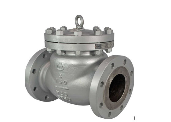 ASME B16.34 API 6D ANSI Flanşalı bultlu bonet 316 Paslanmaz Çelik Swing Check Valve