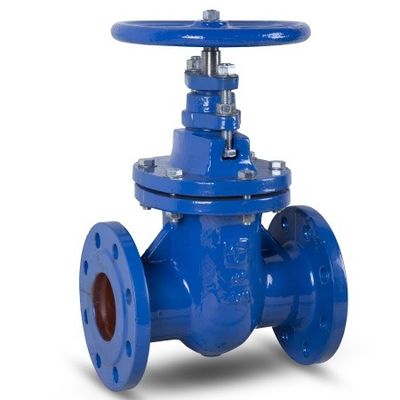 DN100 PN 10 ve 16 Metal Oturmalı Sürgülü Vanalar Oval Gövde Dökme Demir İç Vidalı